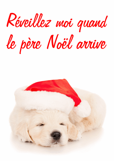 Carte Le Petit Chien Et Le Père Noël : Envoyer une Carte 